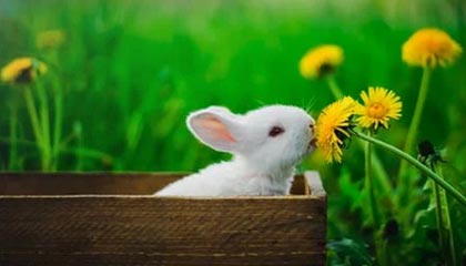 九游体育官网-圣汉达为国米守住3分 孔蒂变阵退守反倒险送好局